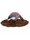 Гусь гуменник Softplast 3D (GS-3D), 10 штук